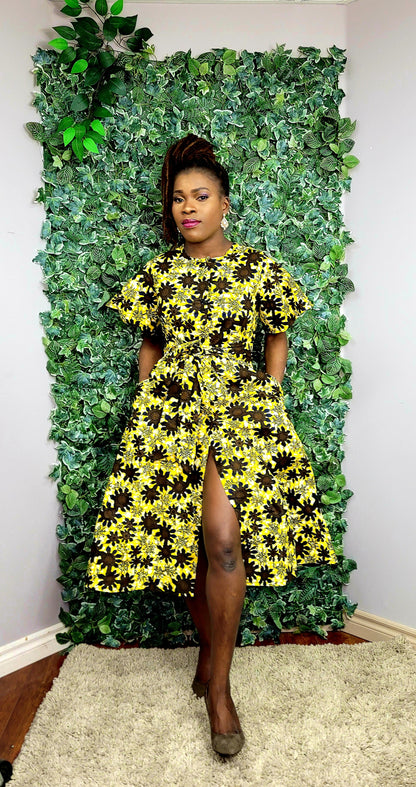 Michelle Shirt Dress